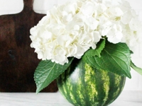 Domestically Blissful Watermelon Vase